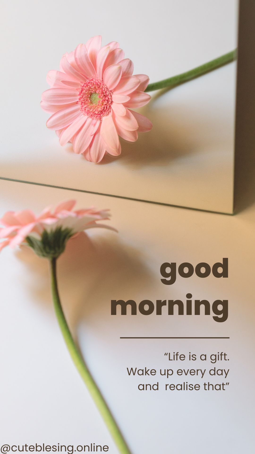 75+ Powerful Good Morning Blessings, Prayers & Wishes to Start Your Day with Hope